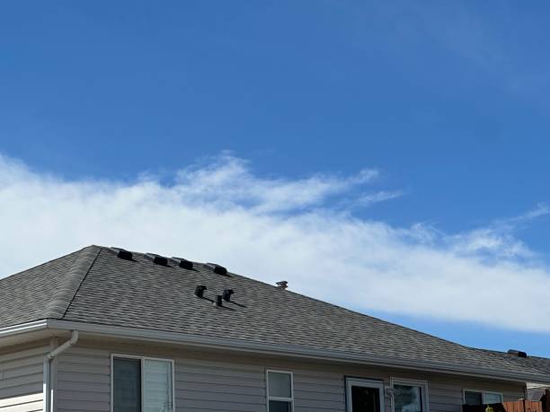 Best Emergency Roof Repair Services  in De Witt, NY